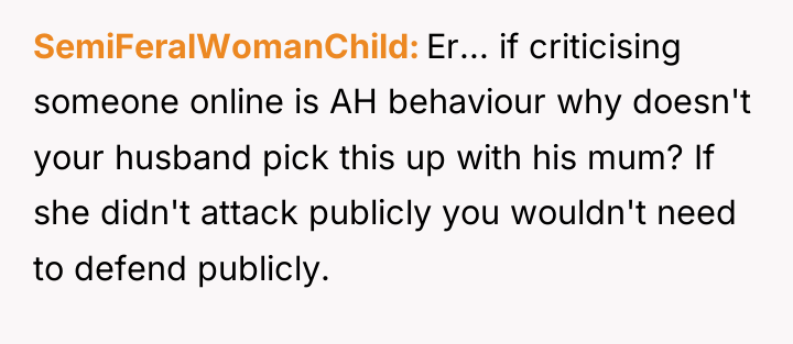 SemiFeralWomanChild Er... if criticising someone online is AH behaviour why...