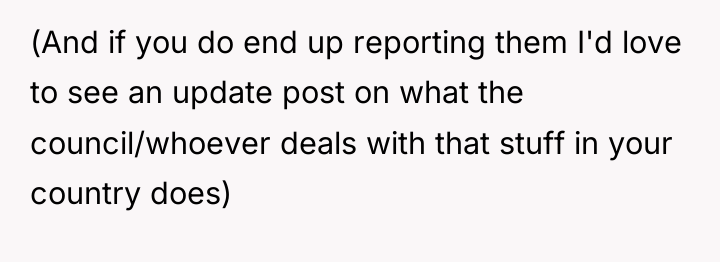 (And if you do end up reporting them I'd love...