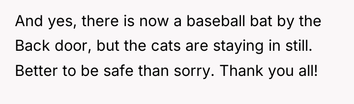 And yes, there is now a baseball bat by the...
