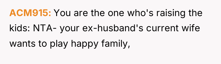 ACM915 You are the one who's raising the kids: NTA-...