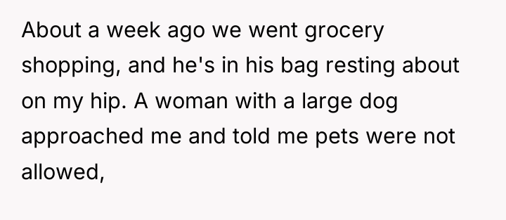 About a week ago we went grocery shopping, and he's...