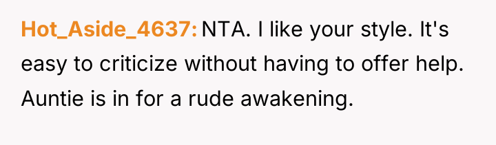 Hot_Aside_4637 NTA. I like your style. It's easy to criticize...