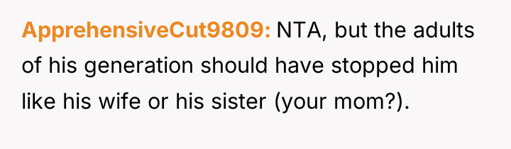 ApprehensiveCut9809 NTA, but the adults of his generation should have...