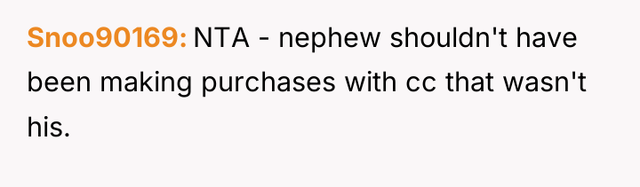 Snoo90169 NTA - nephew shouldn't have been making purchases with...