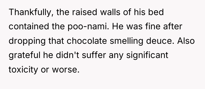 Thankfully, the raised walls of his bed contained the poo-nami....