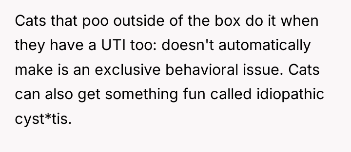 Cats that poo outside of the box do it when...