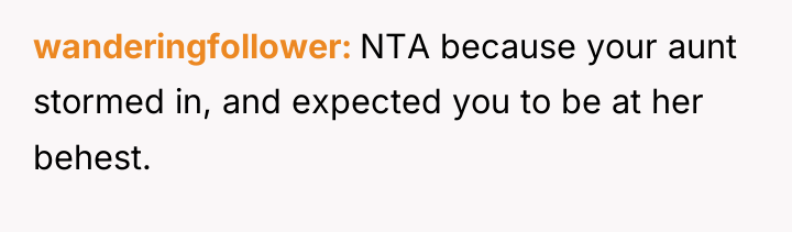 wanderingfollower NTA because your aunt stormed in, and expected you...