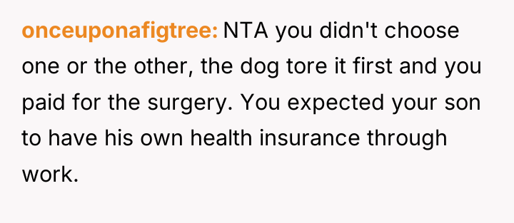 onceuponafigtree NTA you didn't choose one or the other, the...