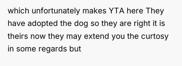 which unfortunately makes YTA here They have adopted the dog...