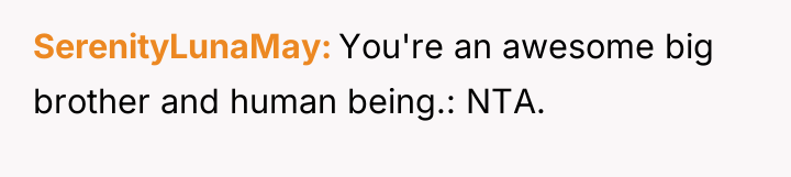 SerenityLunaMay You're an awesome big brother and human being.: NTA.