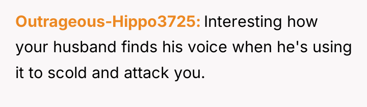 Outrageous-Hippo3725 Interesting how your husband finds his voice when he's...
