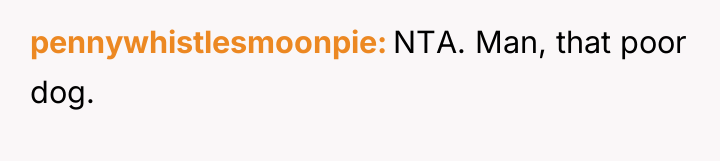 pennywhistlesmoonpie NTA. Man, that poor dog.