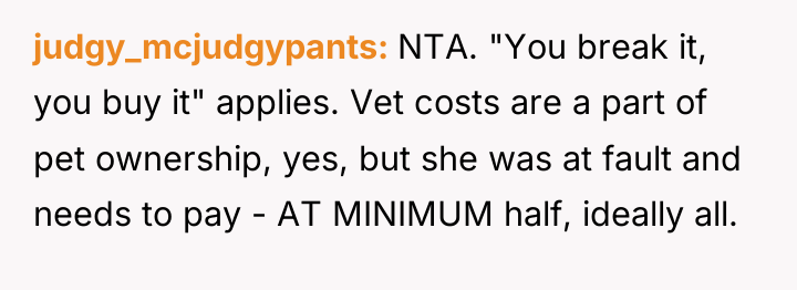 judgy_mcjudgypants NTA. "You break it, you buy it" applies. Vet...