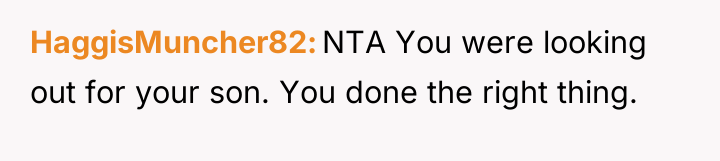 HaggisMuncher82 NTA You were looking out for your son. You...