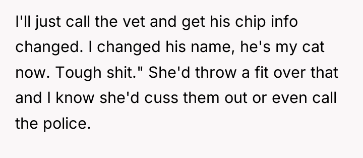 I'll just call the vet and get his chip info...