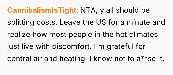 CannibalismIsTight NTA, y'all should be splitting costs. Leave the US...