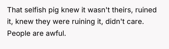 That selfish pig knew it wasn't theirs, ruined it, knew...