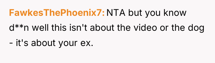 FawkesThePhoenix7 NTA but you know d**n well this isn't about...