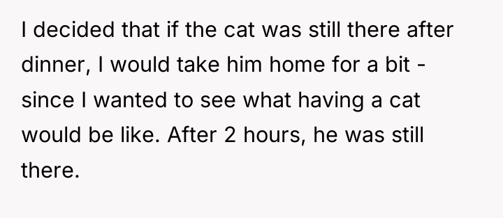 I decided that if the cat was still there after...