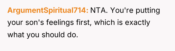 ArgumentSpiritual714 NTA. You're putting your son's feelings first, which is...