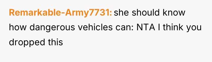 Remarkable-Army7731 she should know how dangerous vehicles can: NTA I...