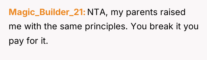 Magic_Builder_21 NTA, my parents raised me with the same principles....