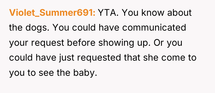 Violet_Summer691 YTA. You know about the dogs. You could have...