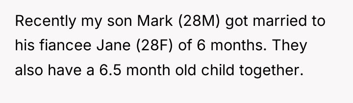 Recently my son Mark (28M) got married to his fiancee...