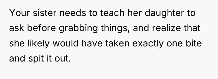 Your sister needs to teach her daughter to ask before...