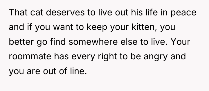 That cat deserves to live out his life in peace...