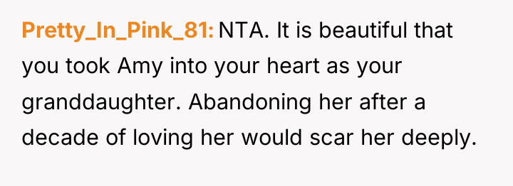 Pretty_In_Pink_81 NTA. It is beautiful that you took Amy into...