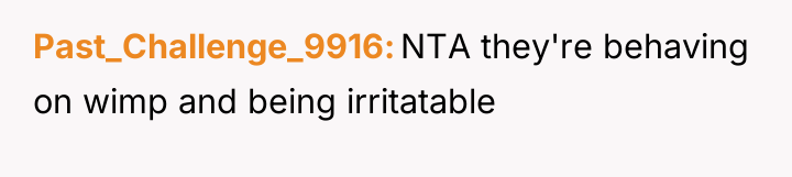 Past_Challenge_9916 NTA they're behaving on wimp and being irritatable