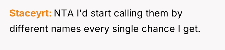 Staceyrt NTA I'd start calling them by different names every...