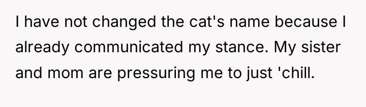 I have not changed the cat's name because I already...