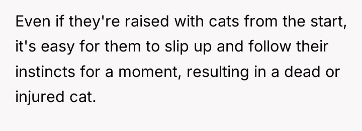Even if they're raised with cats from the start, it's...