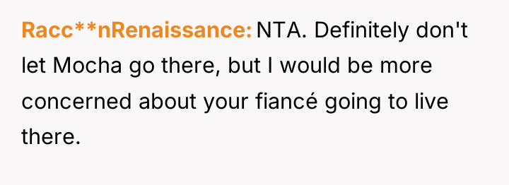 Racc**nRenaissance NTA. Definitely don't let Mocha go there, but I...