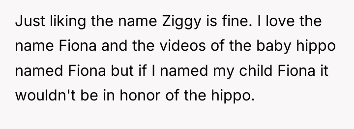 Just liking the name Ziggy is fine. I love the...