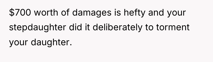 $700 worth of damages is hefty and your stepdaughter did...