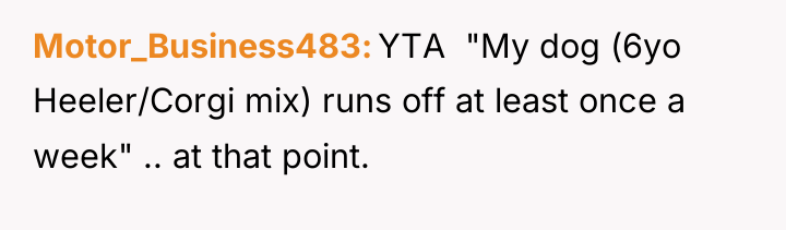 Motor_Business483 YTA "My dog (6yo Heeler/Corgi mix) runs off...