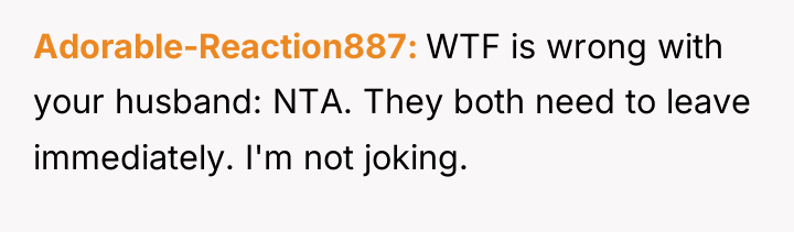 Adorable-Reaction887 WTF is wrong with your husband: NTA. They both...