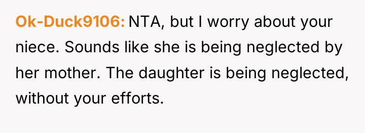 Ok-Duck9106 NTA, but I worry about your niece. Sounds like...