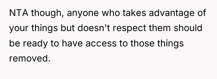 NTA though, anyone who takes advantage of your things but...