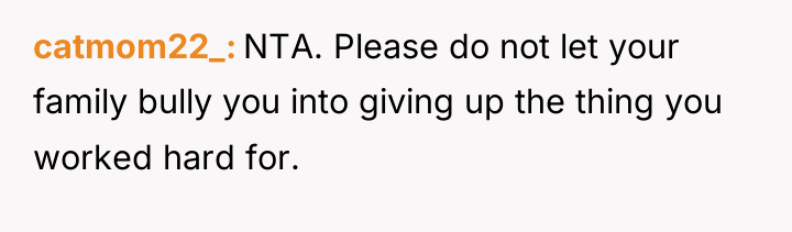 catmom22_ NTA. Please do not let your family bully you...