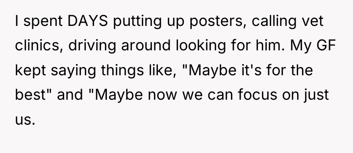 I spent DAYS putting up posters, calling vet clinics, driving...