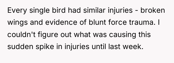 Every single bird had similar injuries - broken wings and...
