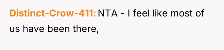 Distinct-Crow-411 NTA - I feel like most of us have...