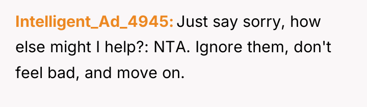 Intelligent_Ad_4945 Just say sorry, how else might I help?: NTA....