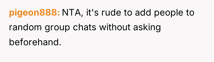 pigeon888 NTA, it's rude to add people to random group...