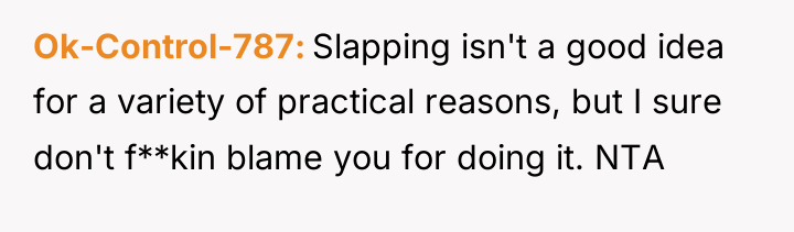 Ok-Control-787 Slapping isn't a good idea for a variety of...