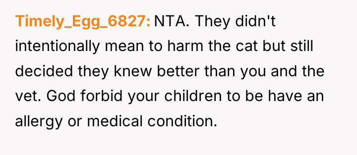 Timely_Egg_6827 NTA. They didn't intentionally mean to harm the cat...